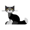 avatarkatt.jpg
