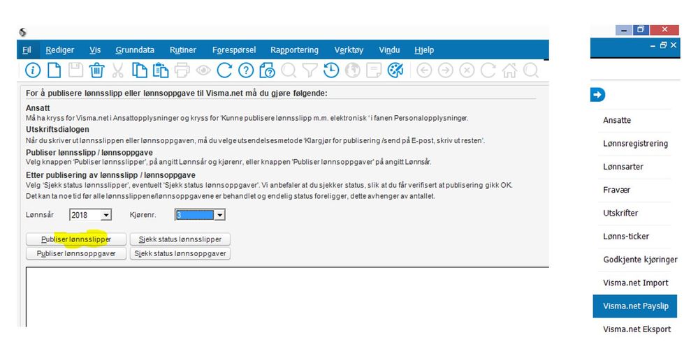 screenshot payslip_forstørret.JPG