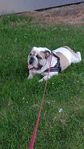 IMG-20220729-WA0002.jpeg