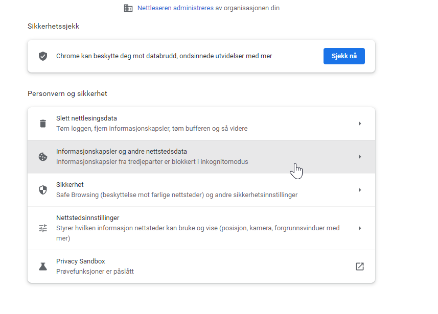karinahogstad_3-1662113131356.png